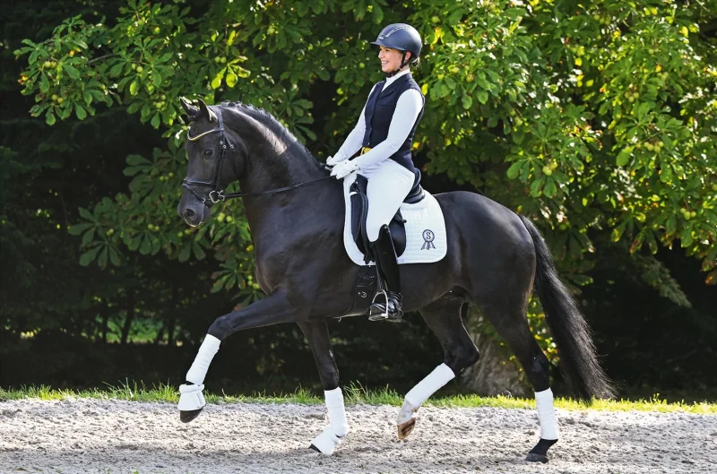 Rendezvous – Highlight der Kollektion der 46. P.S.I. Auktion