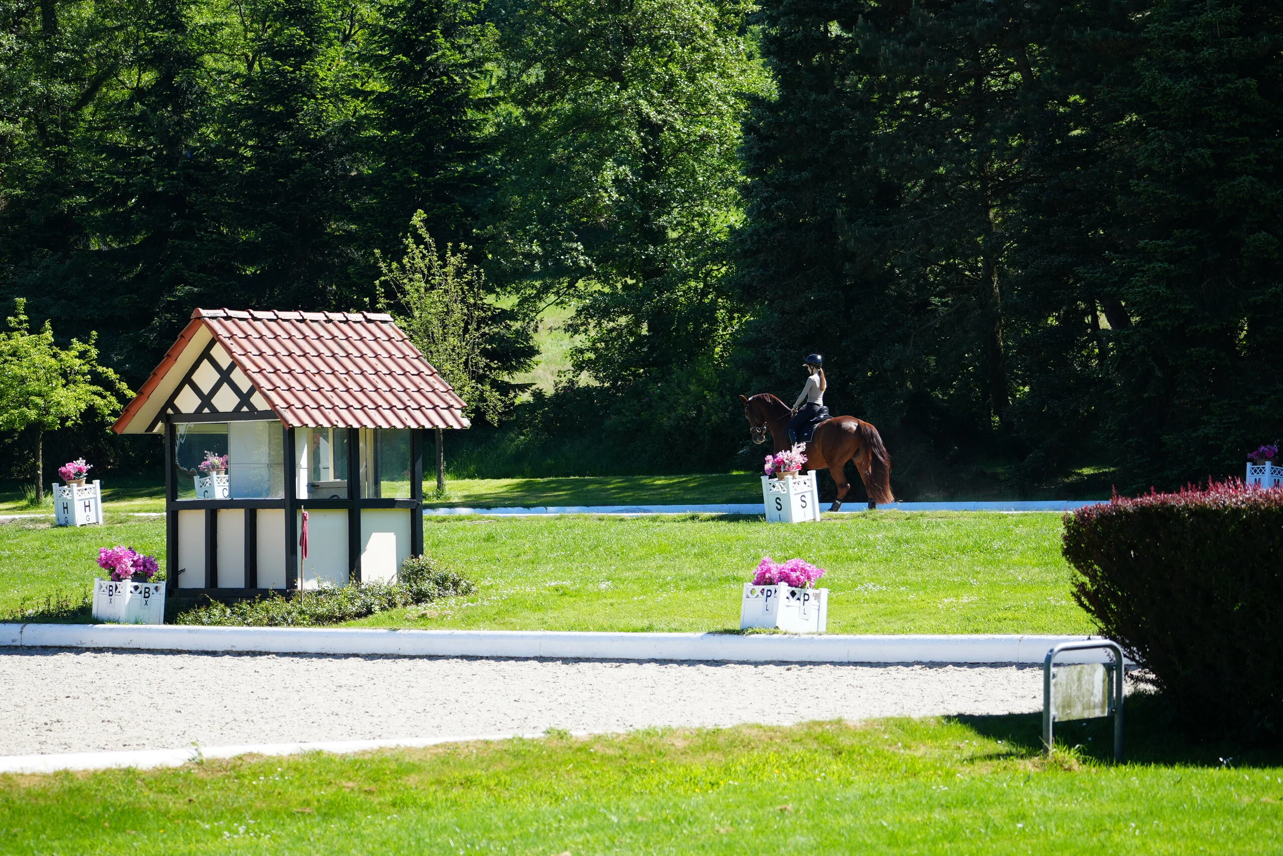 Dressurplatz auf dem Hof Kasselmann