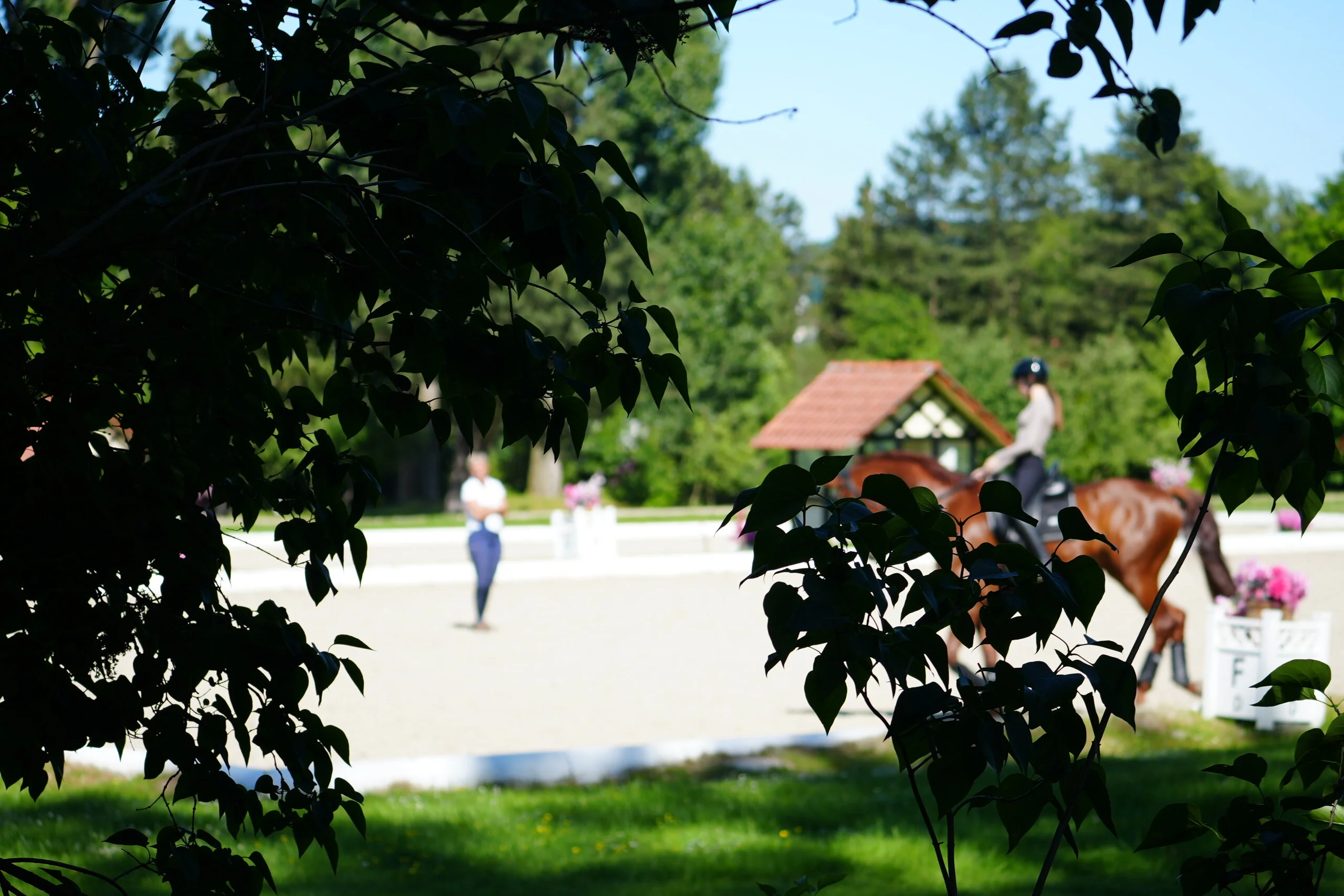 Training auf dem Hof Kasselmann