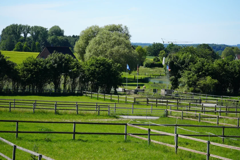 Paddocks auf dem Hof Kasselmann