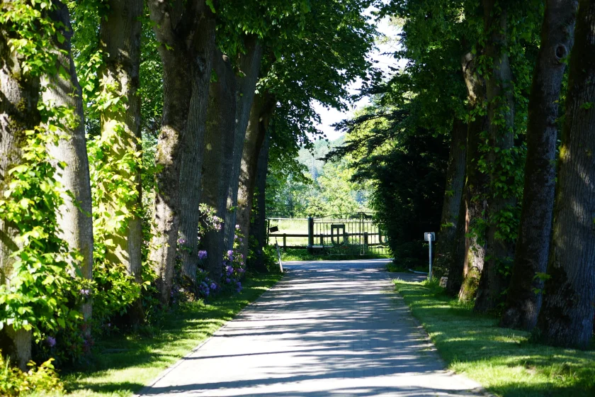 Einfahrt zum Hof Kasselmann